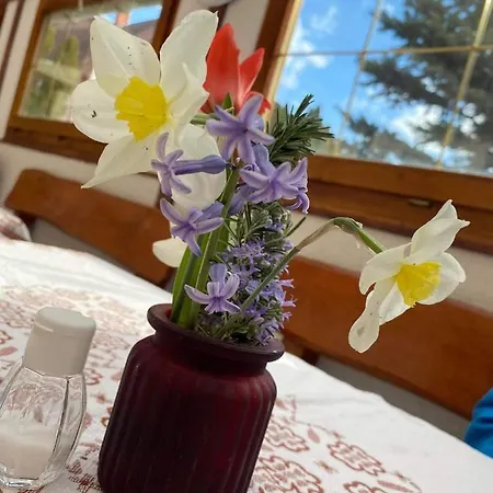 Apartment Platan Vendeghaz Balatongyorok